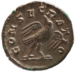 Divus Septimius Severus