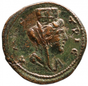 Amastris