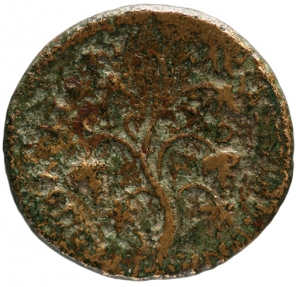 Amastris