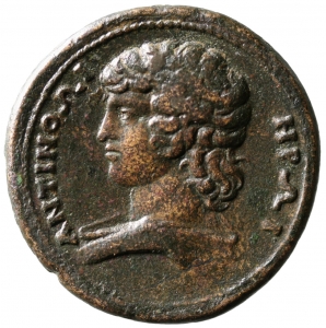 Tium: Antinoos