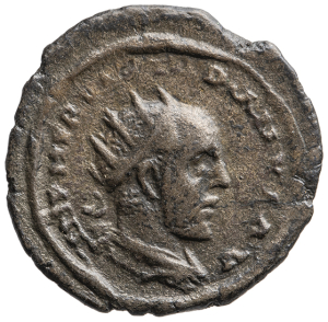 Iotapianus