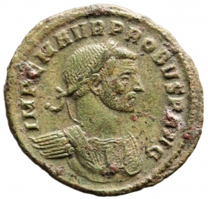 Probus