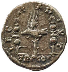 Septimius Severus