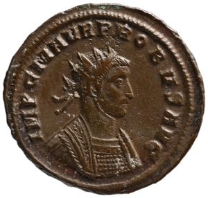 Probus