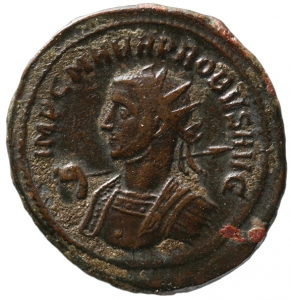 Probus