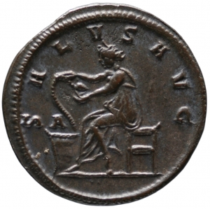 Probus