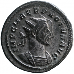 Probus