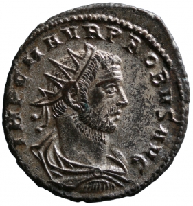 Probus
