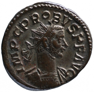 Probus