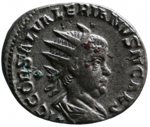 Saloninus