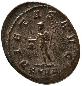 Carinus