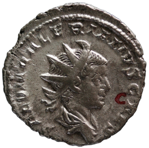 Saloninus