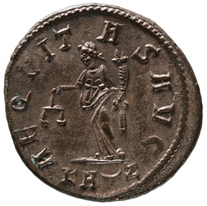 Carinus