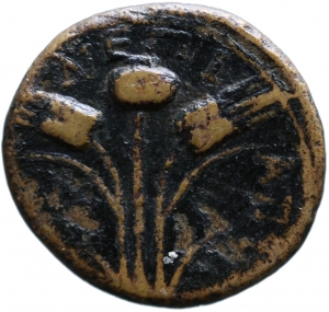 Elaia: Nero
