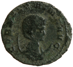 Salonina