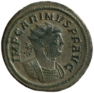 Carinus