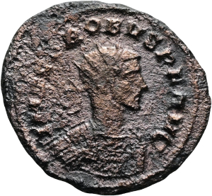 Probus