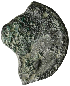 Salonina