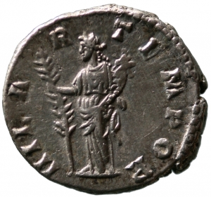 Didia Clara