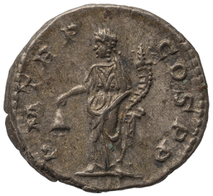 Severus Alexander