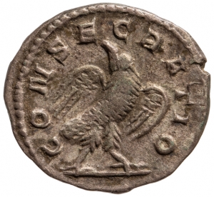 Divus Vespasianus