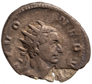 Divus Nerva