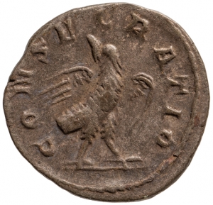 Divus Antoninus Pius