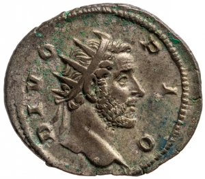 Divus Antoninus Pius