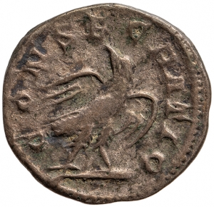 Divus Septimius Severus