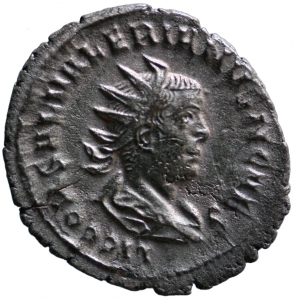 Saloninus