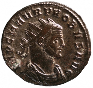 Probus