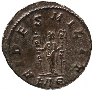 Carinus