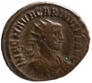 Carinus