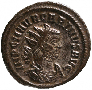 Carinus