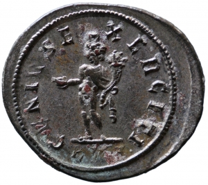 Carinus