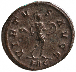 Carinus