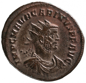 Carinus