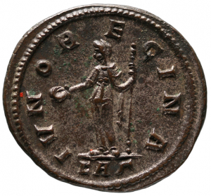 Magnia Urbica