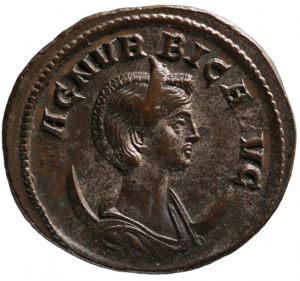 Magnia Urbica