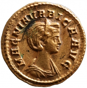 Magnia Urbica