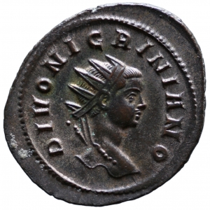 Divus Nigrinianus