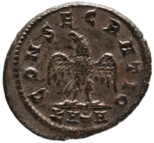 Divus Nigrinianus