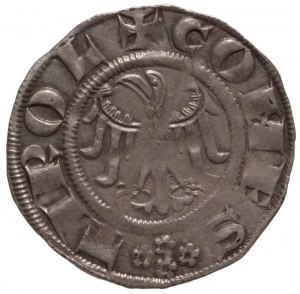 Grafen von Tirol: Meinhard II. (1258–1295)
