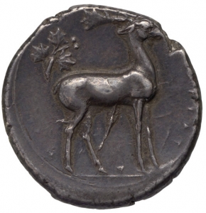 Kaulonia